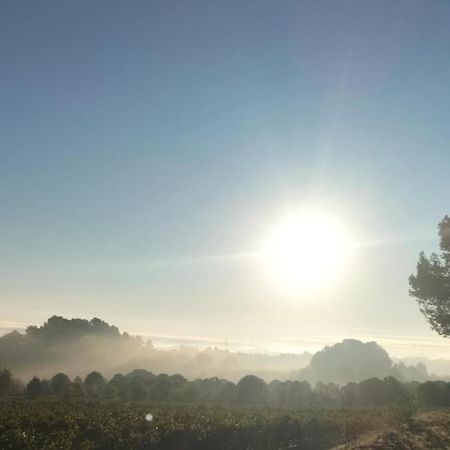 Gites A Moussan ,Domaine De La Barque A 5 Mins De Narbonne Exteriér fotografie