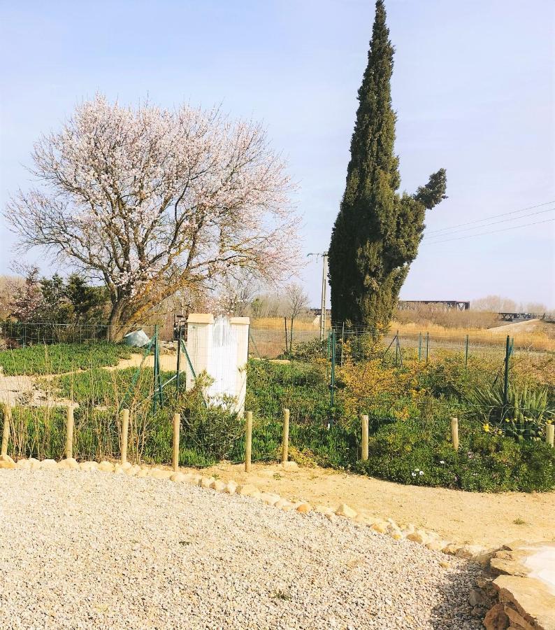 Gites A Moussan ,Domaine De La Barque A 5 Mins De Narbonne Exteriér fotografie