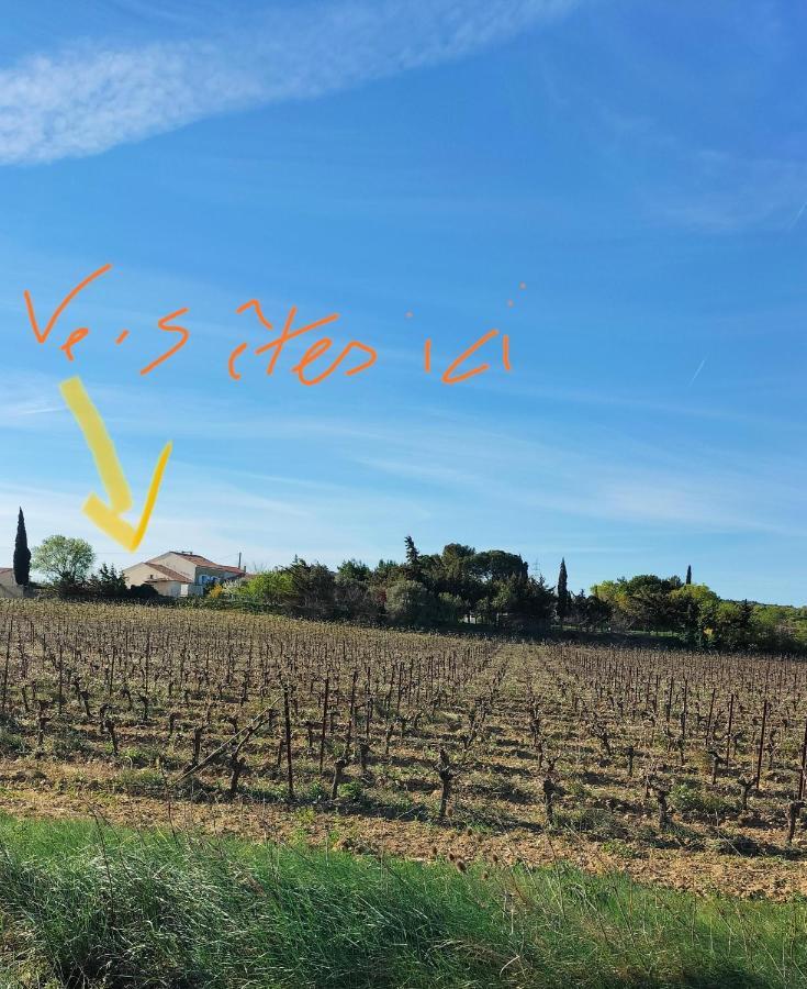 Gites A Moussan ,Domaine De La Barque A 5 Mins De Narbonne Exteriér fotografie