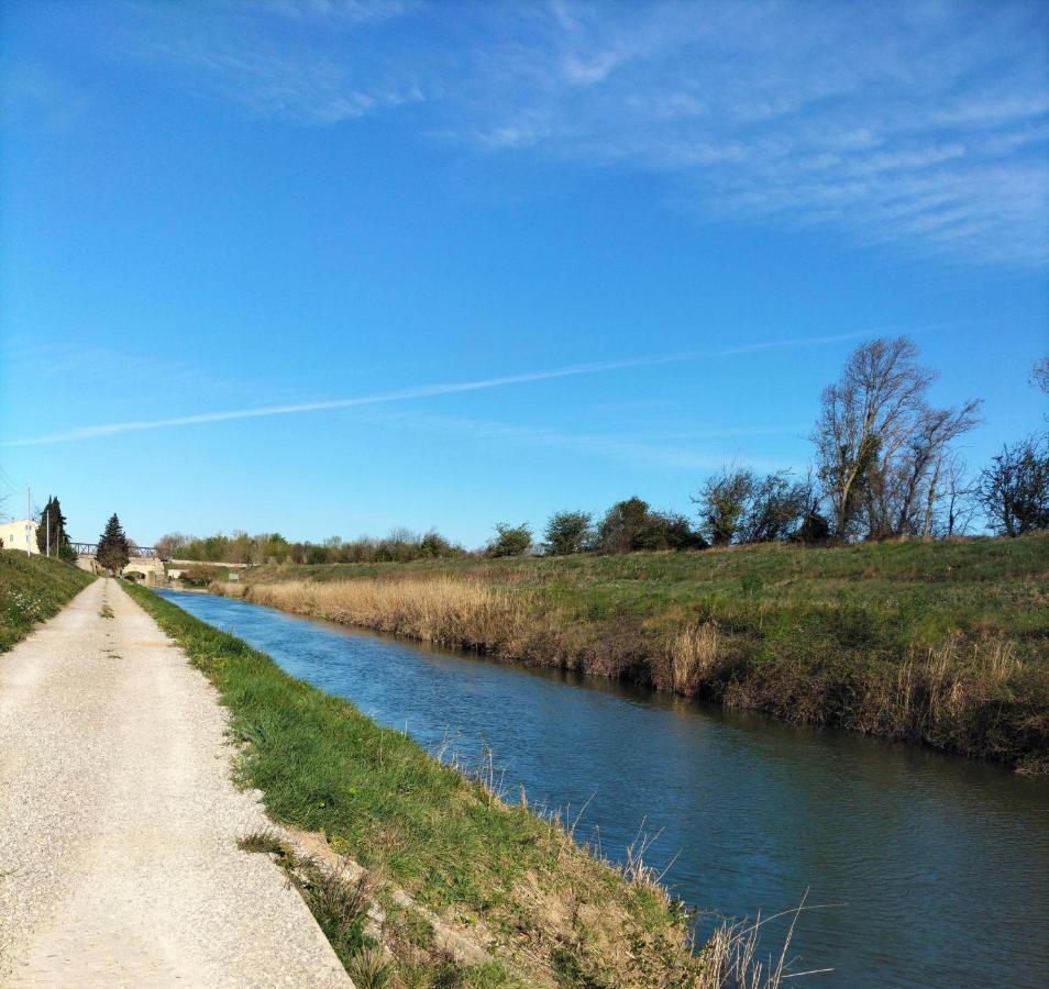 Gites A Moussan ,Domaine De La Barque A 5 Mins De Narbonne Exteriér fotografie