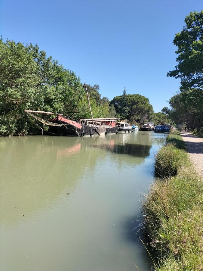 Gites A Moussan ,Domaine De La Barque A 5 Mins De Narbonne Exteriér fotografie