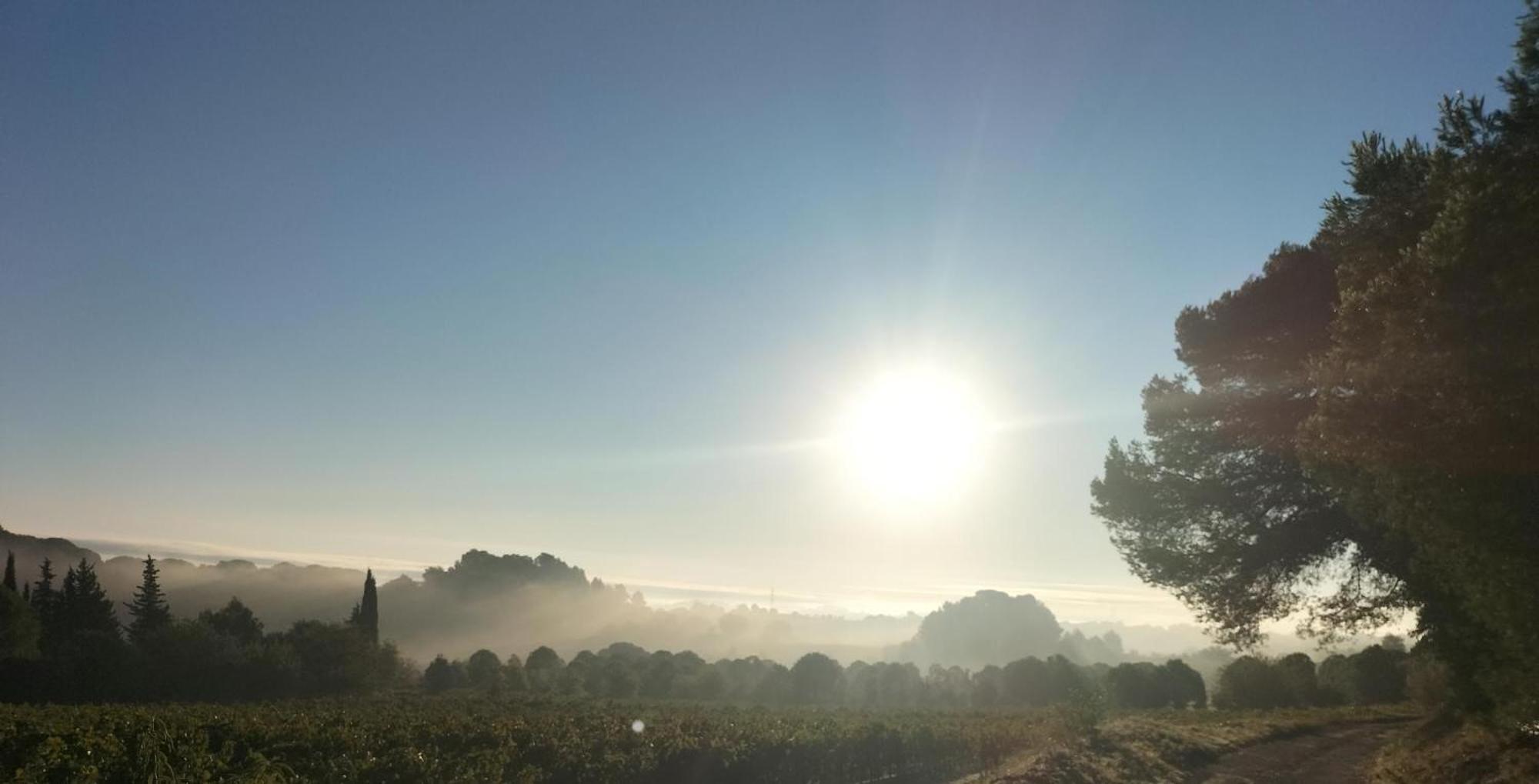 Gites A Moussan ,Domaine De La Barque A 5 Mins De Narbonne Exteriér fotografie